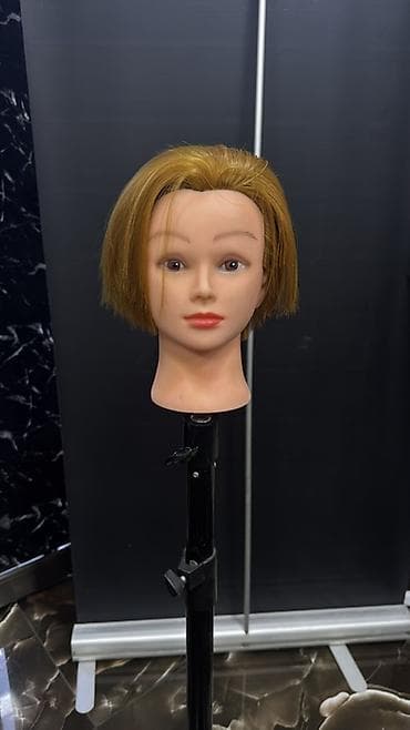 Avadanlığın icarəsi: Baş — 3