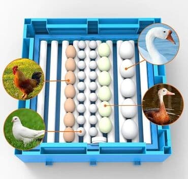 pvs aparatı: Inkubator Zavod 65 yumurtaliq, Yalniz uzerinde Expert Logosu olan — 1