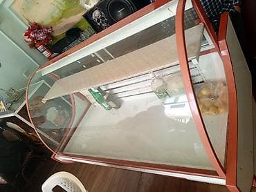 Soyuduculu vitrın (şirniyyat/ət məhsulları üçün) - Önü əyri şüşəli