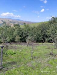 sumqayıtda kirayə evlər 2024: Lerikin Noda kendinde. Heyet evi satilir. asfalta 2 degigelik yol — 7