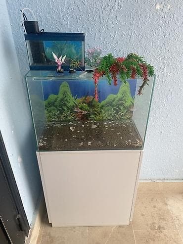 afcarka balasi erkey: Akvarium-şkaf, Boş, 90 l, Ünvandan götürmə — 2
