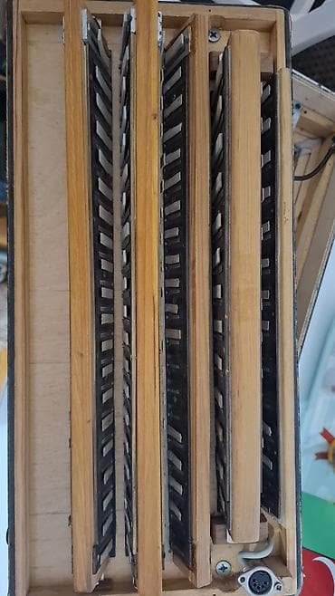 10 cent nece manatdir: Akustik Akkordeon — 5