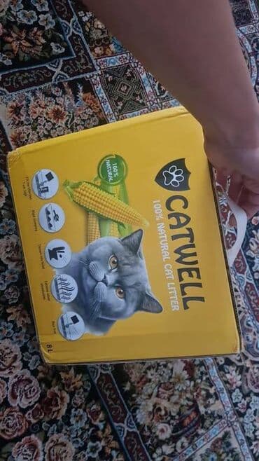 İtlər: Pişik üçün qum 2 ədəddir .Biri 12 azn .Biləcəri — 1