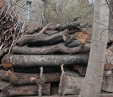 gerb sekilleri: Ocaq/soba üçün odun – qarışıq ağac növləri Məhsul təsviri: - — 1