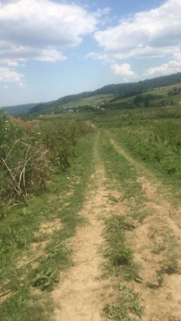 dasinmaz emlak mingəçevir: 20 sot, Biznes üçün, Mülkiyyətçi, Kupça (Çıxarış) — 9