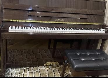 Piano, Ritmüller, Akustik