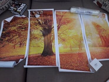 Sandıqlar: Kətan Rəsmlər, Tablolar, Şəkillər, Posterlər. Yalnız şəkillərdə — 3