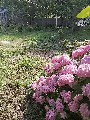 Дачи: Qəbələnin Vəndam qəsəbəsində yerləşən möhtəşəm mənzərəli bağ evi — 1