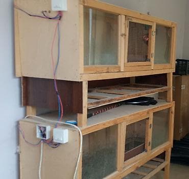 lider cuceleri: Bruder 50*150 biri
Cücə saxlamaq üçün hər bir şəraiti var — 1