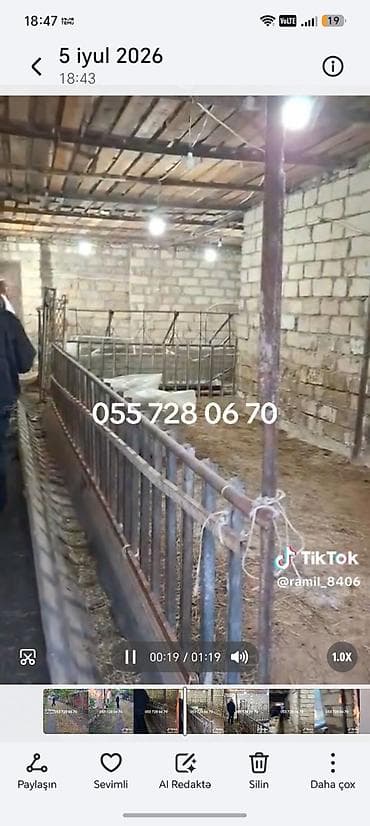 dede qorqud qesebesi: Ferma və həyət evi 16sot torpaq 2otaqlı ev — 1
