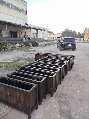 Dibçək güldanlar. Dipçəklər bir başa sexdən.Sex qiymətinə. ♦️Endrim