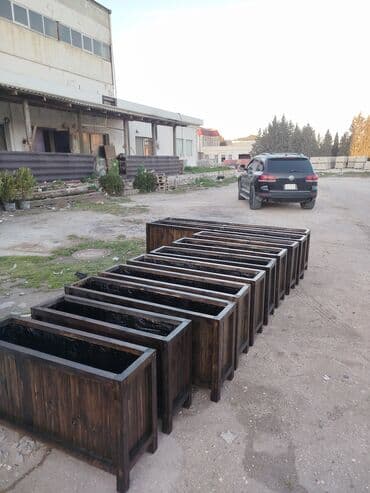 bitkiler: Dibçək güldanlar. Dipçəklər bir başa sexdən.Sex qiymətinə. ♦️Endrim — 1