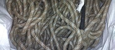 rəng: Sənaye və təhlükəsizlik ipi dəsti - Tip: toxunma (kernmantle) — 4