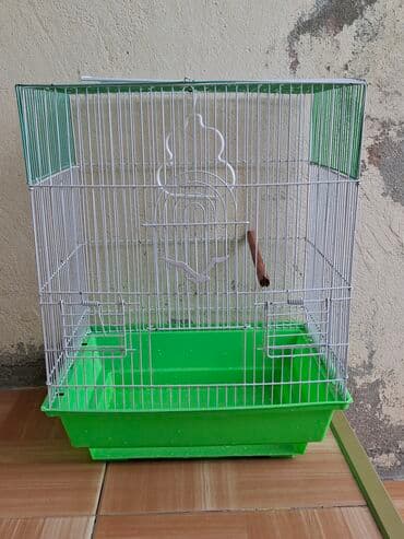 QUŞ ÜÇÜN QƏFƏSDİ DOMİKDƏ VAR DOMİKLƏ 20 AZN! 1CÜT QUŞ İLƏ 35 AZN! Quş — 1