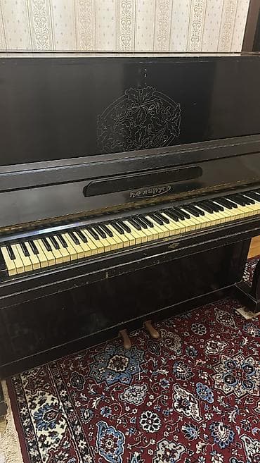 elektron gitara satisi: İşlək normal vəziyyətdədir — 1