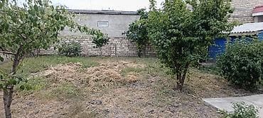 şirvan daşınmaz əmlak: Xaçmaz, 700 kv. m, 8 otaq, Hovuzsuz, Kombi, Qaz, İşıq — 7