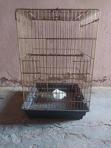 Quş qəfəsi qəfəs satılır yekə papuqaylarçün kakadu aranjerya karella