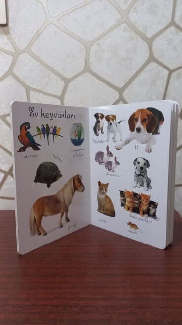 riyaziyyat is dəftəri 1 ci sinif: MƏNİM İLK SÖZLƏRİM SALAM ŞƏKİLDƏ GÖRDÜYÜNÜZ KİTABI ƏLDƏ ETMƏK ÜÇÜN — 3