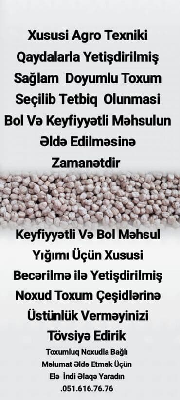 Məhsul: Noxud toxumu (xüsusi agro texniki qaydalarla yetişdirilmiş)