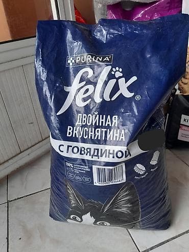 şotland pişiklər: Məhsullar: Pişik qumu və quru yem çeşidləri 1) Catbravo White — 3