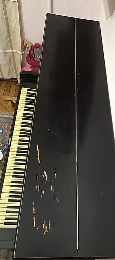 CD, DVD disklər və kassetlər: Piano, Akustik — 2