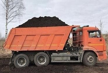 xurma agaci: Qara torpaq – peyzaj və bağçılıq üçün - Qidalı, humusla zəngin qara — 1