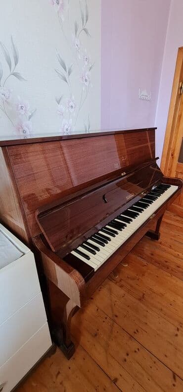 Аккордеоны: Пианино, Rönisch, Акустический — 2