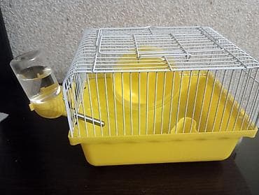 Hamster (xamyak) üçün qəfəs dəsti satilir. Dəstə daxildir: 1 eded su
