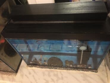 filtir: Аквариум 10 литров + помпа фильтр — 1