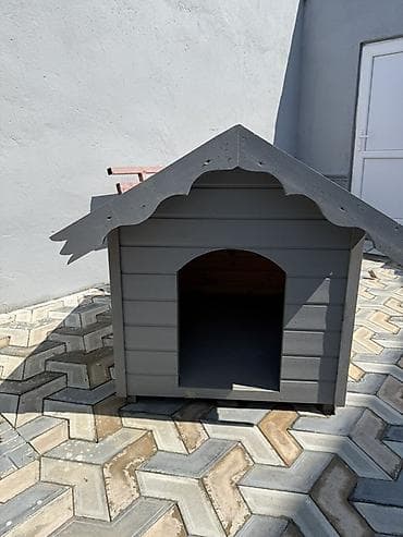 Taxta it evi (250 alınıb 100 azn satılır) yenidir it yerləşmədi deyə