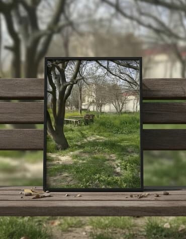 yeni əmlak az: 24 sot, Tikinti, Mülkiyyətçi, Kupça (Çıxarış) — 1