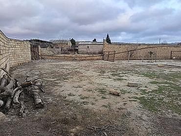 qubada torpaq satilir: Salam xocasen m/s 5 deqiqelik mesafede sahil sadliq sarayin arxasinda — 3