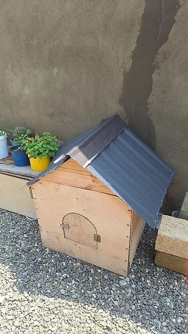 heyvanlar it: Taxta it evi / heyvan üçün açıq hava evi - Material: qalın faner və — 2