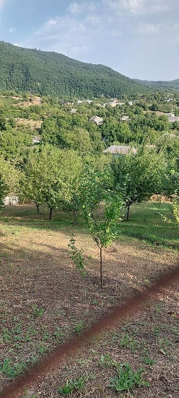 quba 5 sotlar: 20 sot, Tikinti, Makler, Bələdiyyə — 8