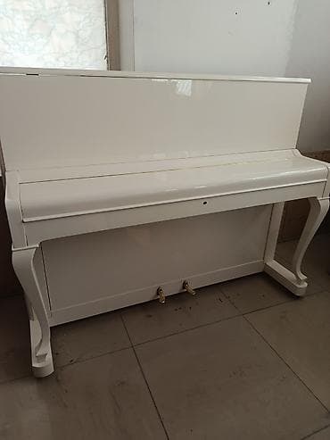 gitara pedalları: Petrof upright piano – klassik dizaynlı ağ rəngdə akustik model — 6
