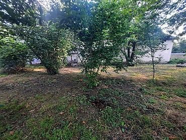 Torpaq: 5 sot, Mülkiyyətçi, Kupça (Çıxarış) — 3