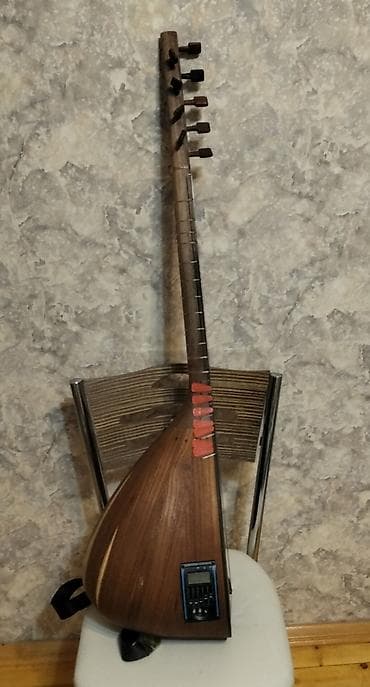 Digər musiqi alətləri: Sazda təzədir alınıb aləti toyu üçün - Korpus: tutu qozu formalı — 6
