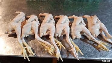 İçkilər: Halal kəsim ilə kəsilmiş toyuqlar, cavan tez bişən və gec bişən — 2