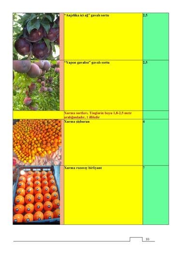 Çöl bitkiləri: Meyvə və dekorativ ağac tingləri Təsvir: - Tərtər rayonu ərazisində — 5