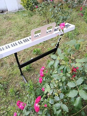 mp3 yüklə: Piano, Rəqəmsal, Yeni, Pulsuz çatdırılma — 10