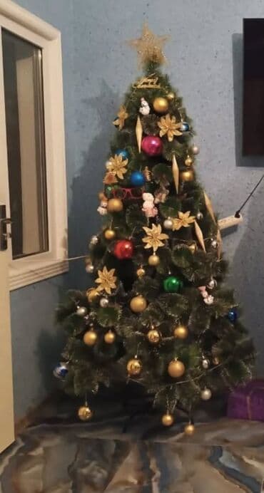 aile agaci: Yeni il yolkası və bəzək seti - Şam ağacı: sıx budaqlı, klassik konus — 1