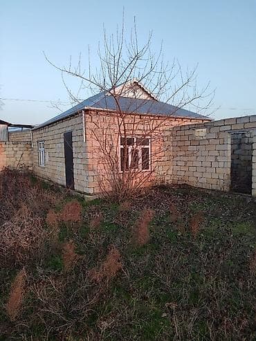 Şirvan şəhər Hacıqəhrəmanlı qəsəbəsi Fərman quliyev küçəsi Həyətyanı