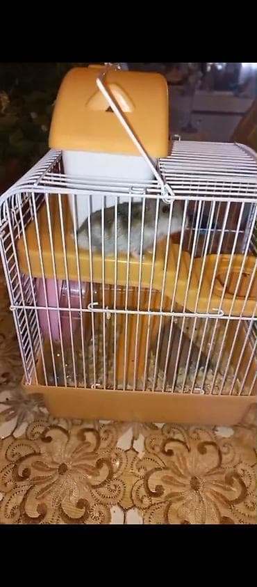 heyvan evleri: Hamster üçün tam dəst qəfəs - Material: möhkəm metal barmaqlıqlar — 6