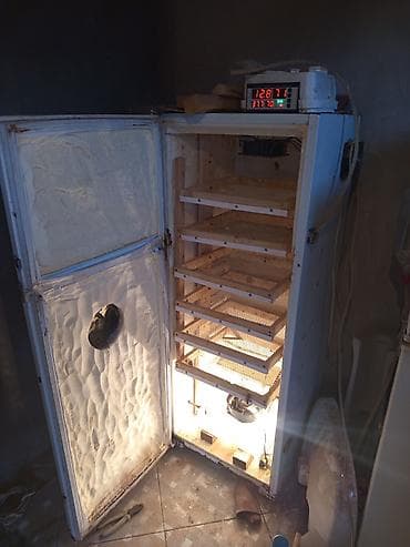 Kənd təssərüfatı avadanlığı: Bütün növ quşlaq üçün — 8