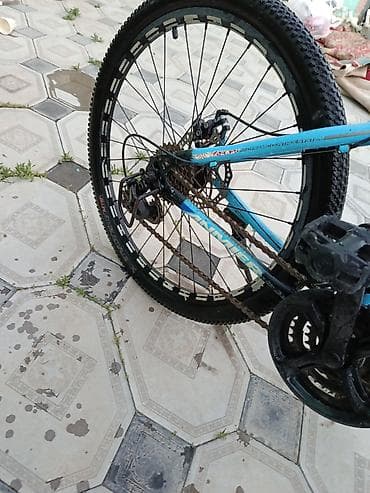 Salamaleykum biri 24 likdi biride 29luq 29 liq jidkis tormoznandi ela — 3