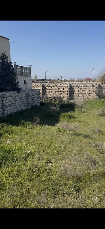 7 sot, Tikinti, Mülkiyyətçi, Kupça (Çıxarış)