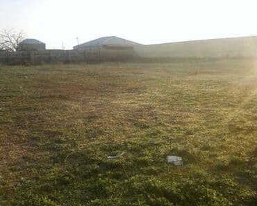 xacmazda 9 nom mektebin yanında ev torpaq satqısı: Kənd təsərrüfatı — 2