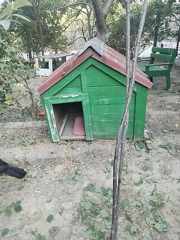 kucə iti: Taxtadan hazırlanmış hər növ itə uygün (budka) satılır. Quruluşu — 3