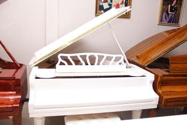 saksafon qiymetleri: Royal Musiqi Aletleri salonu sizlere genish secim,muxtelif — 1