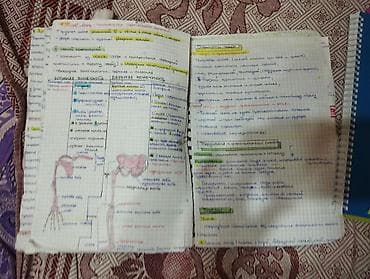 Spiral dəftərlərin dəsti - Format: A4 və A5 qarışıq ölçülər - Növlər — 2
